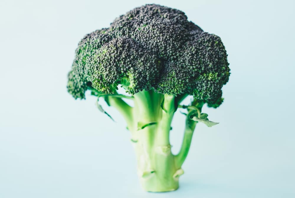 broccoli recepten